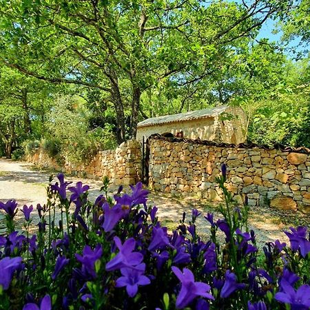 Le Donjon Des Combes Et Son Spa Fayence Luaran gambar